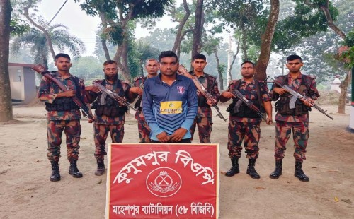 ভারতে প্রবেশের সময় ১৯ বাংলাদেশি আটক