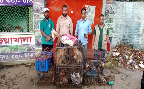 অবৈধ মিনি চিড়িয়াখানা থেকে ৩২ বন্যপ্রাণি উদ্ধার