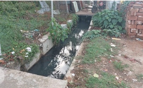 চুয়াডাঙ্গা শহরের ড্রেনগুলো যেন মরণফাঁদ, প্রতিনিয়ত ড্রেনে পড়ছে মানুষ ও পশু-পাখি