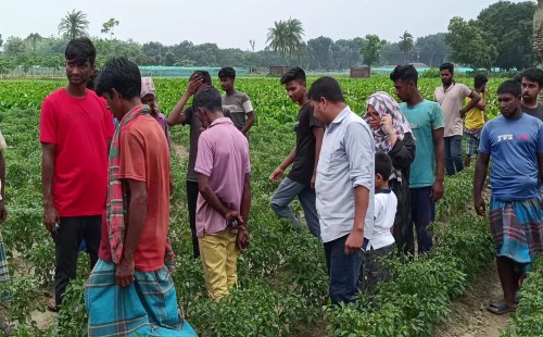 চাষিদের ভয়ে পলাতক ভাটা মালিক