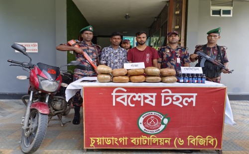 দর্শনায় গাঁজা ও ফেনসিডিলসহ দুজন আটক
