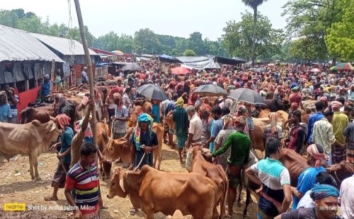 ডুগডুগি পশুহাটে অতিরিক্ত খাজনা আদায়
