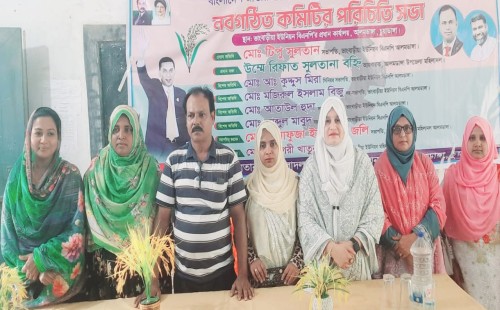 আলমডাঙ্গার ভাংবাড়ীয়ায় মহিলা দলের পরিচিতি সভা