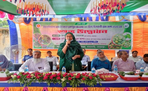 মেহেরপুরে তিন দিনব্যাপী আম মেলার উদ্বোধন