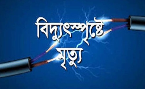 নেহালপুরে ফ্যান মেরামত করতে গিয়ে বিদ্যুৎস্পৃষ্টে স্কুলছাত্রের মৃত্যু