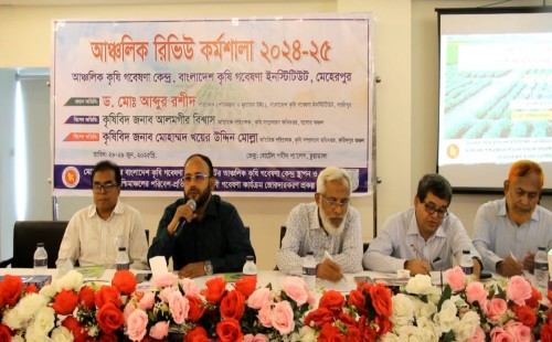 চুয়াডাঙ্গায় আঞ্চলিক রিভিউ দুই দিনব্যাপী ওয়ার্কশপ অনুষ্ঠিত