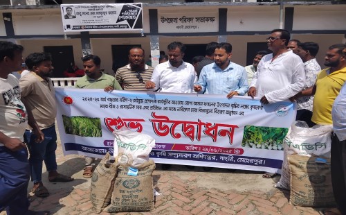 গাংনীতে ২ হাজার কৃষক পেলেন সার ও বীজ