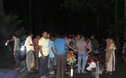 শৈলকূপায় ট্রাকচাপায় বীর মুক্তিযোদ্ধার মৃত্যু
