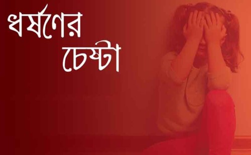 দর্শনার বড়বলদিয়ায় গৃহবধূকে ধর্ষণের চেষ্টা, থানায় অভিযোগ