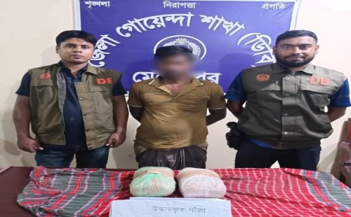 গাংনীতে দুই কেজি গাঁজাসহ মাদক কারবারি আটক