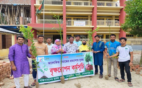 গাংনীর তেরাইল দুরন্ত ক্লাবের উদ্যোগে বৃক্ষরোপণ