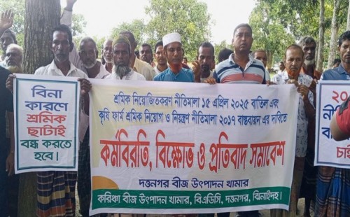 মহেশপুরের দত্তনগর বীজ উৎপাদন খামারে শ্রমিকদের কর্মবিরতি