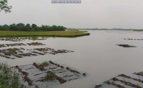 ধান, কলা, সবজিখেত পচে নষ্ট, খাদ্য সংকটের শঙ্কা!