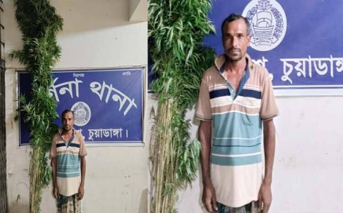 চুয়াডাঙ্গার শৈলমারি গ্রামে অর্ধশত গাঁজার গাছসহ চাষি আটক
