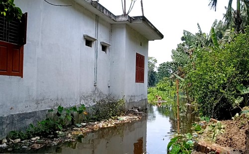 দিনে-রাতে মশার যন্ত্রণা, অসহায় কালীগঞ্জের মানুষ