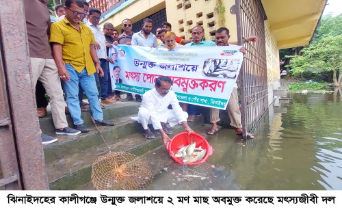 ঝিনাইদহের চিত্রা নদীতে মাছের পোনা অবমুক্ত