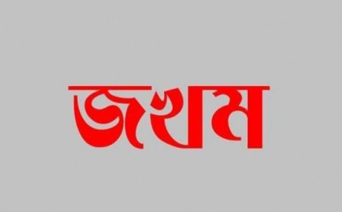 ছোট ভাইয়ের স্ত্রীর কোদালের আঘাতে বড় ভাই জখম