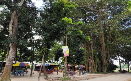 শত বছরের স্মৃতির সাক্ষী চুয়াডাঙ্গার দিগড়ী বটতলা