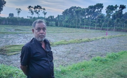 নেহালপুরে ওয়ার্ড বিএনপির সভাপতির জমি দখলের অভিযোগ