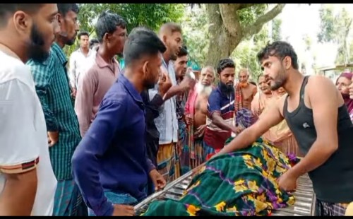 হালচাষের সময় কৃষক ও গরুর মৃত্যু