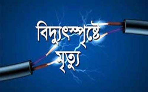 আলমডাঙ্গার হাটবোয়ালিয়ায় বিদ্যুৎস্পৃষ্টে শ্রমিকের মৃত্যু