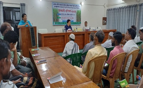 আগাম আখচাষ করলে ভর্তুকি দেয়ার ঘোষণা
