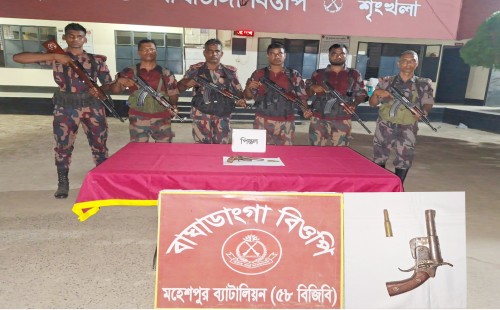 খড়ের গাদায় মিললো দেশি পিস্তল ও গুলি