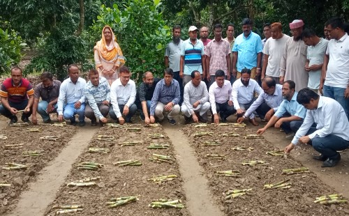 মিল পরিদর্শন করলেন সিনিয়র সহকারী সচিব