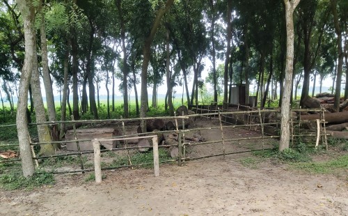 আলমডাঙ্গায় আদালতের আদেশ উপেক্ষা করে জমি দখলের অভিযোগ