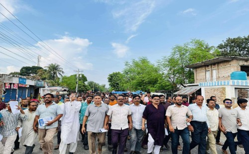 মুজিবনগরে বিএনপির গণসংযোগে জনতার ঢল