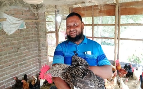 টাইগার মুরগি ও কোয়েল খামারে স্বপ্ন বুনছেন আমিনুল