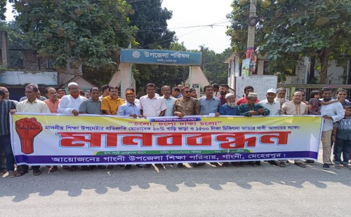 গাংনীতে শিক্ষকদের মানববন্ধন