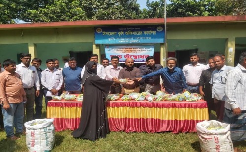 আলমডাঙ্গায় বিনামূল্যে বীজ ও রাসায়নিক সার বিতরণ