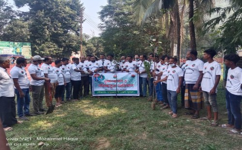 দামুড়হুদা স্বাস্থ্য কমপ্লেক্সে যুবদলের পরিচ্ছন্নতা অভিযান ও বৃক্ষরোপণ