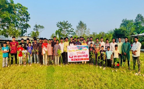চুয়াডাঙ্গার বড়শলুয়ায় বৃক্ষবিতরণ কর্মসূচি