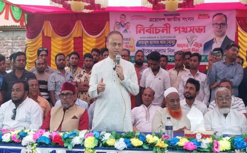 জীবননগরের সীমান্ত ইউনিয়নে পথসভায় ধানের শীষের প্রার্থী বাবু খান