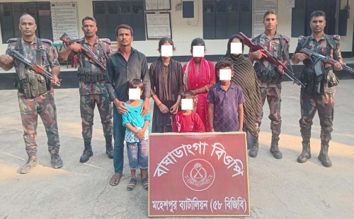 জীবননগর ও মহেশপুর সীমান্তে বিজিবির অভিযান