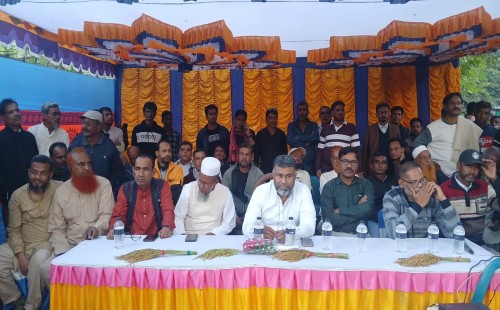 হারদী ইউনিয়নে ধানের শীষের প্রচারণায় শরীফুজ্জামান শরীফের পাশে তৃণমূলের ঢল