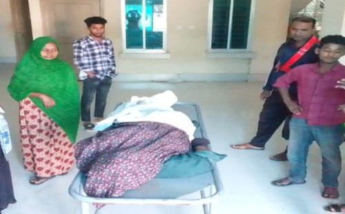 আলমডাঙ্গায় কাভার্ড ভ্যানের নিচে পড়ে নারীর মৃত্যু