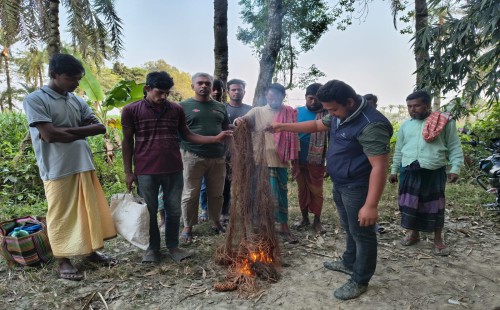 চুয়াডাঙ্গার হুলিয়ামারী গ্রামে পাখি শিকারিদের বিরুদ্ধে পদক্ষেপ