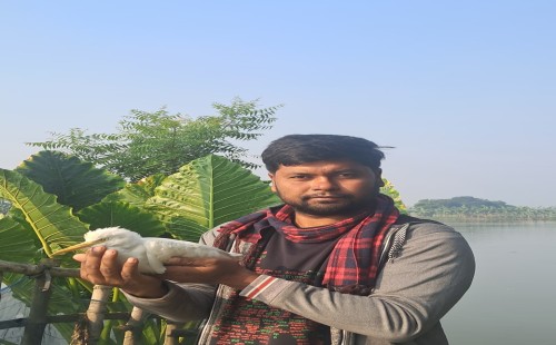 চুয়াডাঙ্গার গাছ ও পশু-পাখির বন্ধু শাহিন