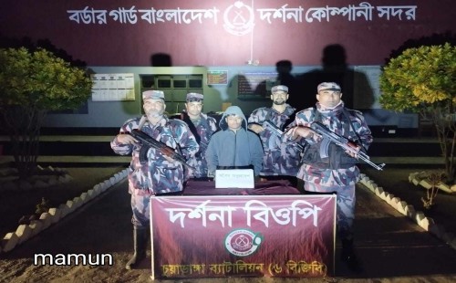 দর্শনায় দিয়ে ভারতে অনুপ্রবেশের চেষ্টাকালে যুবক আটক