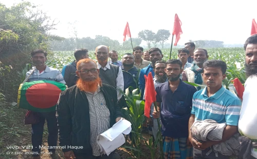দামুড়হুদায় দীর্ঘ ২৫ বছর পর আদালতের রায়ে পৈত্রিক জমি ফিরে পেল পরিবার