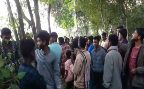 আলমডাঙ্গার চিৎলা থেকে ঝুলন্ত লাশ উদ্ধার