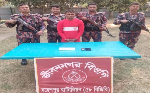 জীবননগর ও মহেশপুরে বিজিবির অভিযানে ইয়াবা ও ভায়াগ্রা ট্যাবলেট উদ্ধার