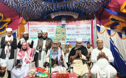 আলমডাঙ্গার হাঁপানিয়ায় ওয়াজ মাহফিলে বিএনপি নেতা শরীফুজ্জামান শরীফ