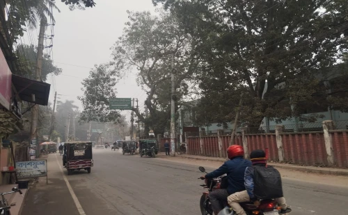 কুয়াশার চাদরে ঢাকা চুয়াডাঙ্গা, দুই দিন মেলেনি সূর্যের দেখা