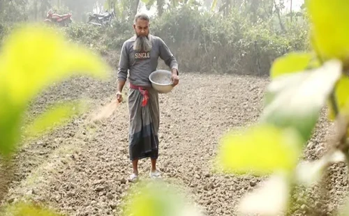 মেহেরপুরে সরকার নির্ধারিত দামে সার না পাওয়ার অভিযোগ