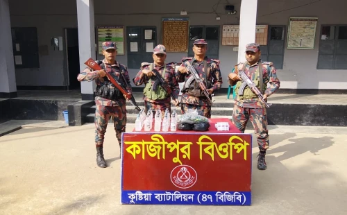 গাংনী সীমান্তে মদ, যৌন উত্তেজক ট্যাবলেট ও পটকা উদ্ধার