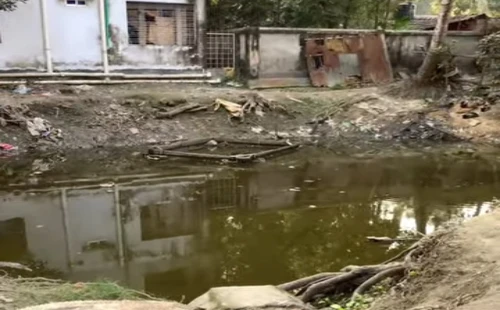 দর্শনায় পানিতে ডুবে শিশুর মৃত্যু